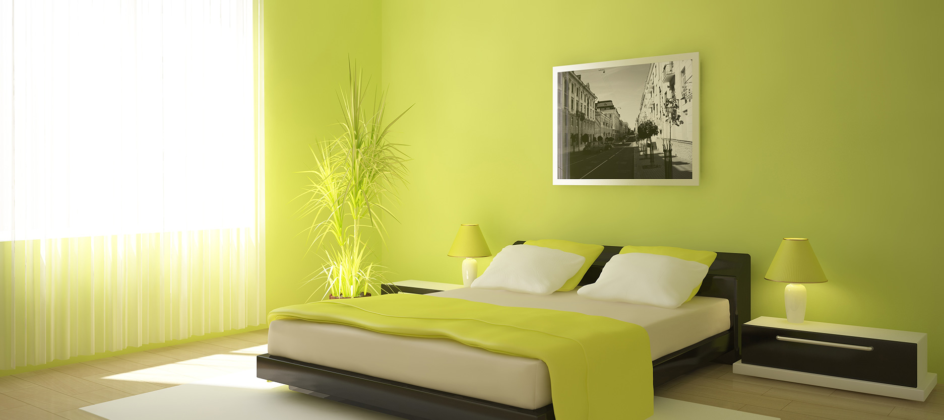 Best Green Colour Combinations for Walls – Schemes & Design Ideas