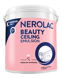 Beauty Ceiling Emulsion