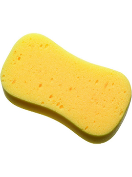 Sponge