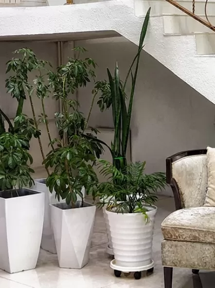 Top 15 Home Staircase Design Ideas: Modern Stairs Design Inside the House 