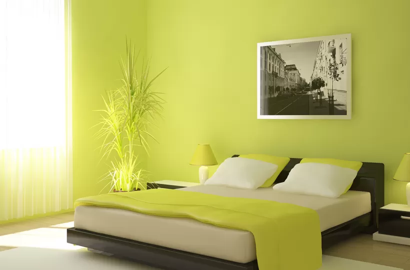 Best Green Colour Combinations for Walls - Schemes & Design Ideas
