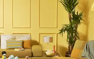 What Is the Haldi Ceremony? Meaning, Decoration & Colour Guide