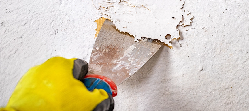 Why Do You Need Heat Proof Paint for Exterior Walls?